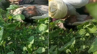 Desi Mature Cpl Fucking | Indian MMS