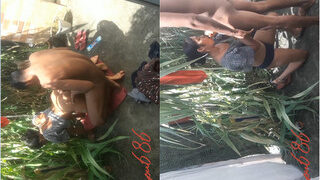 Desi Bhabhi Blowjob And Fucking | Indian MMS